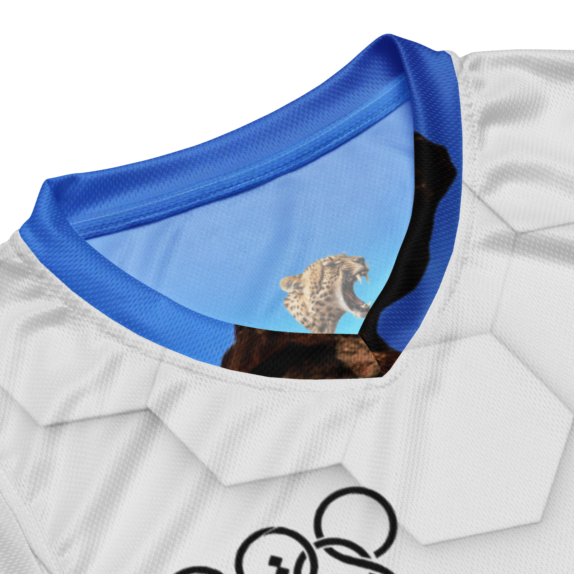 Pirouzi Athletics Palestine 🇵🇸 jersey
